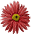 �ޯ��ٰ�